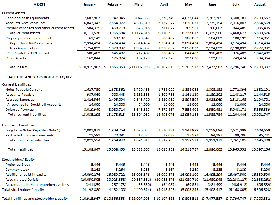 SaaS Balance Sheet Example-2024